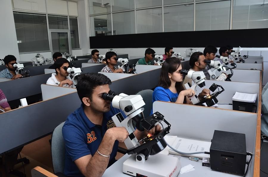 Indian Institute of Gem and Jewellery Jaipur Campus photo 11